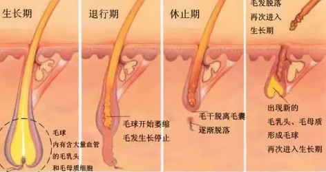 iGLORY完美睫毛增長液，喚醒睫毛逆生長，30天睫毛長一倍