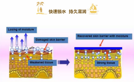 NEWNEW終極水潤補水面霜，讓你告別冬季撒哈拉沙漠!