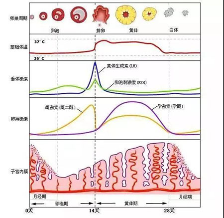 “閉口”這個磨人的小妖精又出來作妖啦！