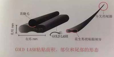 GOLD LASH：快看！拉高顏值的秘密法寶……